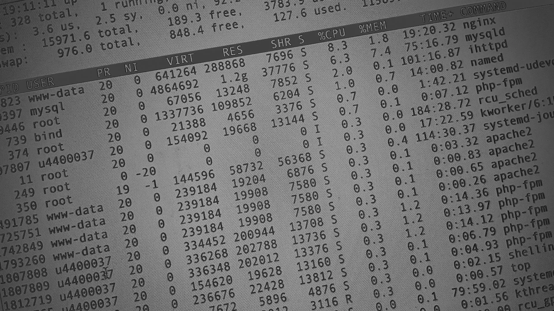 Настройка сервера в Балашихе