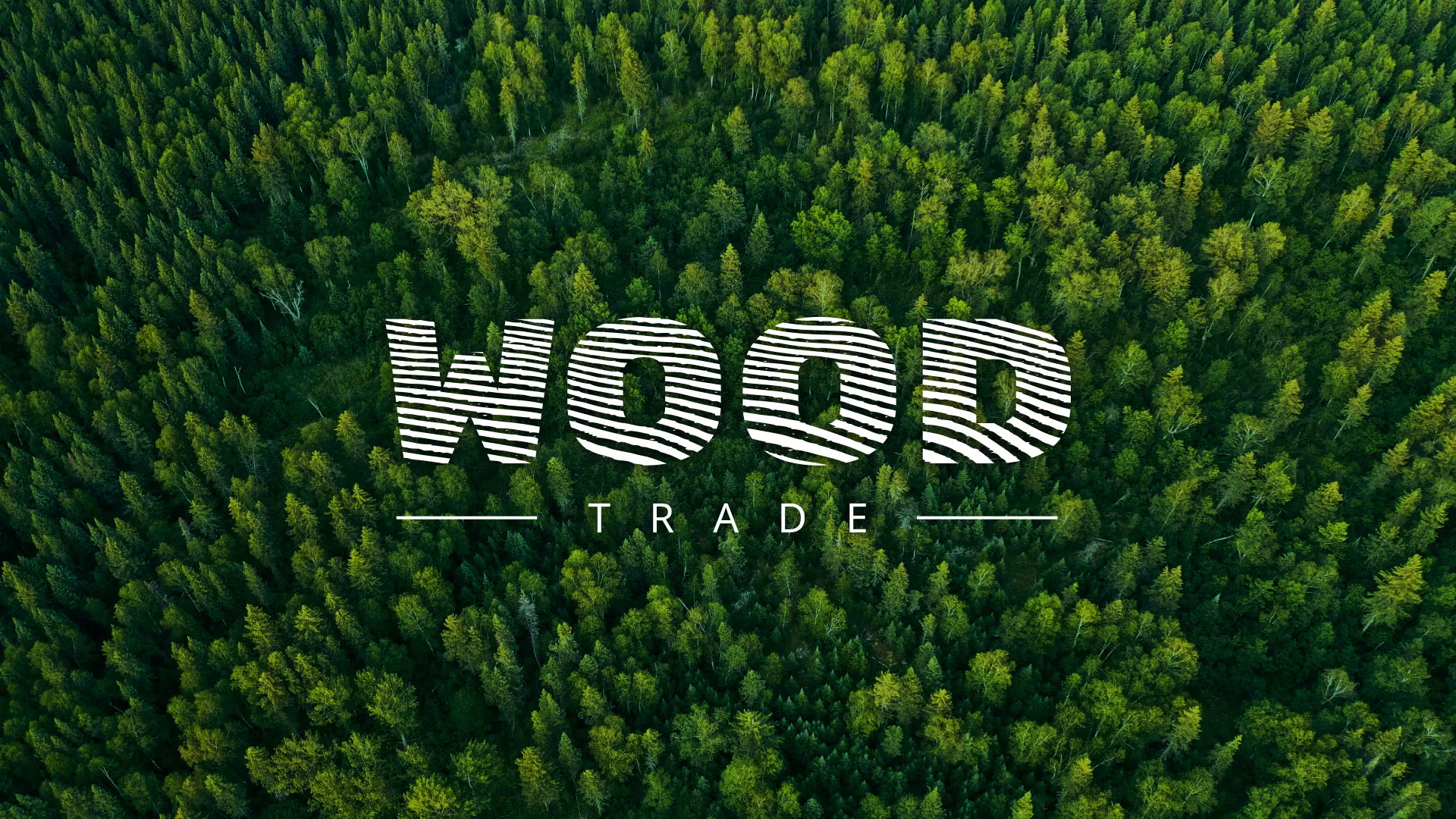 Разработка интернет-магазина компании «Wood Trade» в Балашихе